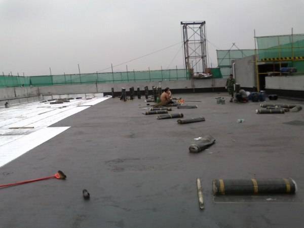 SBS防水卷材(圖1)